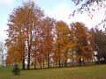 Barvy podzimu v Hradci Králové